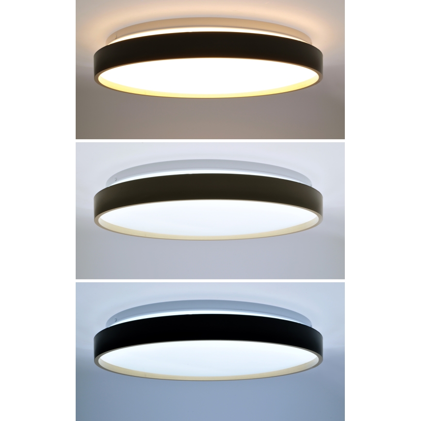 LED Dimmable φωτιστικό οροφής CALA LED/48W/230V 3000-6500K μαύρο/χρυσό + τηλεχειριστήριο