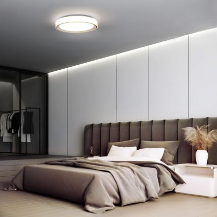 LED RGB dimmable φωτιστικό οροφής FLOCO LED/30W/230V 3000-6500K + RGB/6W διάμετρος 40cm + τηλεχειριστήριο