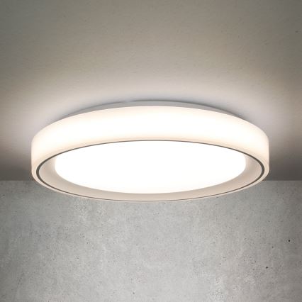 LED RGB dimmable φωτιστικό οροφής FLOCO LED/30W/230V 3000-6500K + RGB/6W διάμετρος 40cm + τηλεχειριστήριο