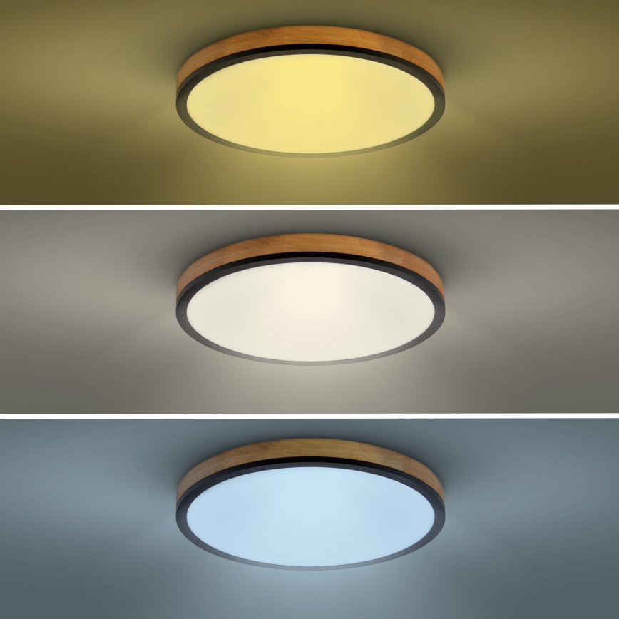 LED Dimmable φωτιστικό οροφής LED/40W/230V 3000-6500K δρυς + τηλεχειριστήριο