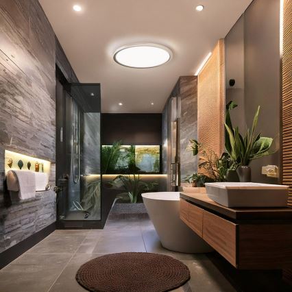 LED φωτιστικό οροφής μπάνιου ACATE LED/18W/230V 3000/4000/6000K διάμ. 22 εκ. IP54