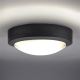 Φωτιστικό οροφής LED εξωτερικού χώρου LED/13W/230V IP54 ανθρακί