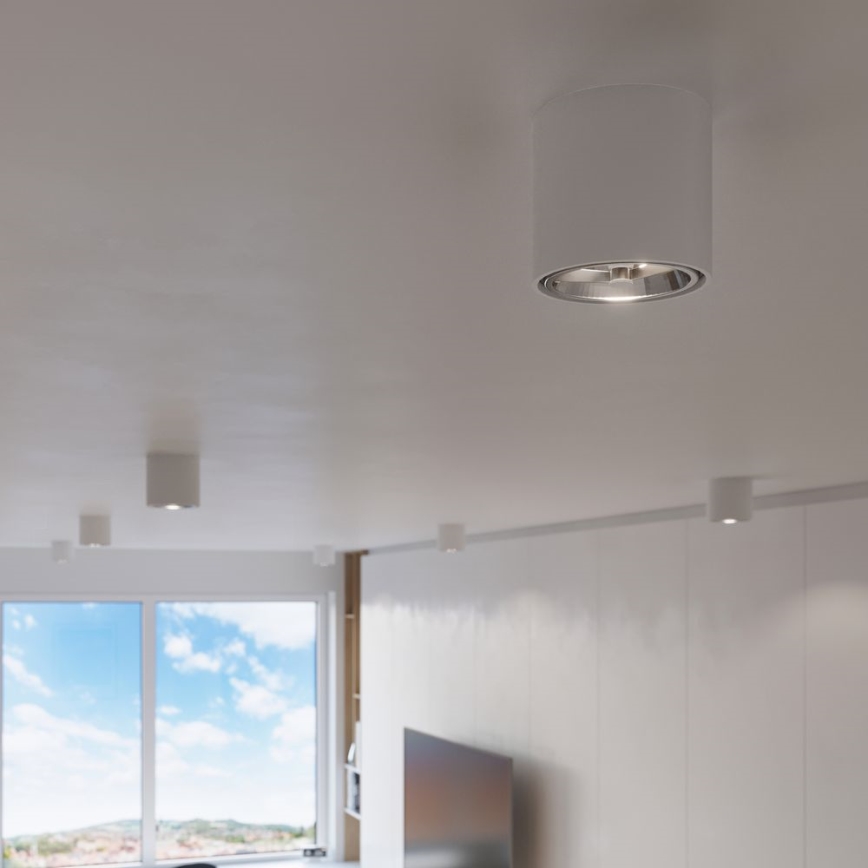 Φωτιστικό σποτ TIUBE1xGU10-AR111/10W/230V