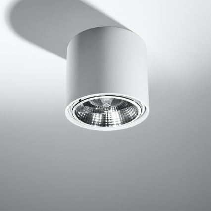 Φωτιστικό σποτ TIUBE1xGU10-AR111/10W/230V