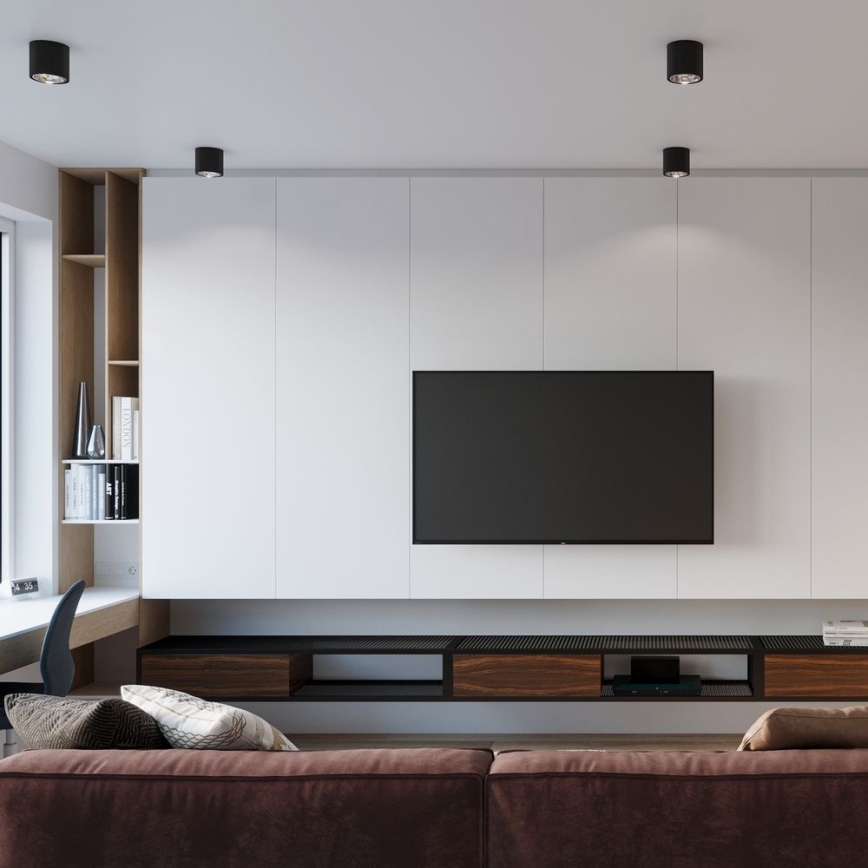 Φωτιστικό σποτ TIUBE 1xGU10-AR111/10W/230V