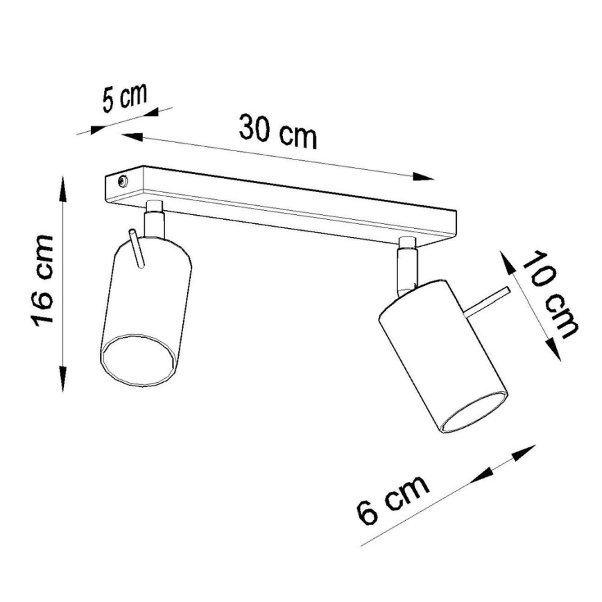Φωτιστικό σποτ RING 2xGU10/10W/230V