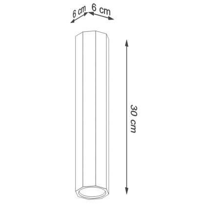 Φωτιστικό σποτ ZEKE 1xGU10/40W/230V 30 cm δρυς