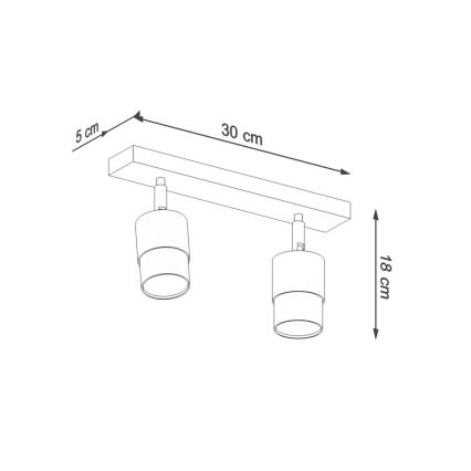 Φωτιστικό σποτ NERO 2xGU10/40W/230V μαύρο/γυαλιστερό χρώμιο