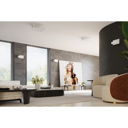 Φωτιστικό οροφής LAPPO 2xE27/15W/230V λευκό