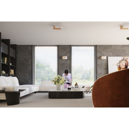 Φωτιστικό οροφής LAPPO 2xE27/15W/230V μπεζ