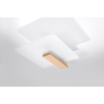 Φωτιστικό οροφής LAPPO 2xE27/15W/230V μπεζ