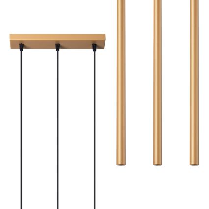 Πολύφωτο με συρματόσχοινο PASTELO 3xG9/8W/230V χρυσαφί
