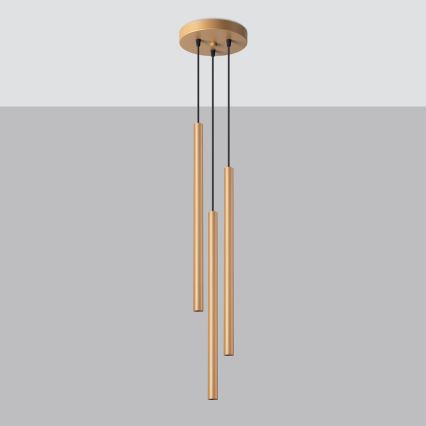 Πολύφωτο με συρματόσχοινο PASTELO 3xG9/8W/230V χρυσαφί