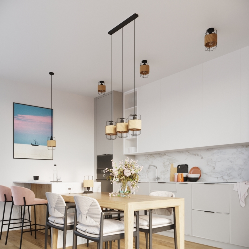 Πολύφωτο με συρματόσχοινο GIZUR 1xE27/15W/230V
