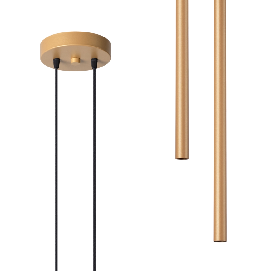 Πολύφωτο με συρματόσχοινο PASTELO 2xG9/8W/230V χρυσαφί