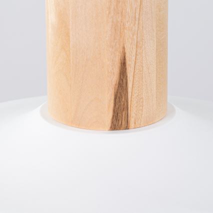 Πολύφωτο με συρματόσχοινο INDY 1xE27/15W/230V διάμετρος 38 cm λευκό