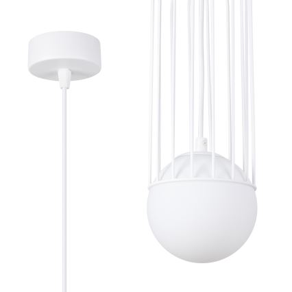 Κρεμαστό φωτιστικό οροφής BRINA 1xG9/8W/230V λευκό