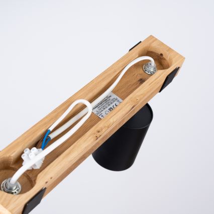 Φωτιστικό σποτ FAGER 2xGU10/10W/230V μαύρο