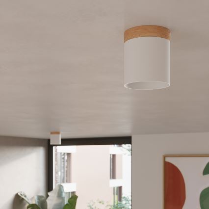 Φωτιστικό σποτ RIF 1xGU10/10W/230V διάμετρος 12 cm λευκό