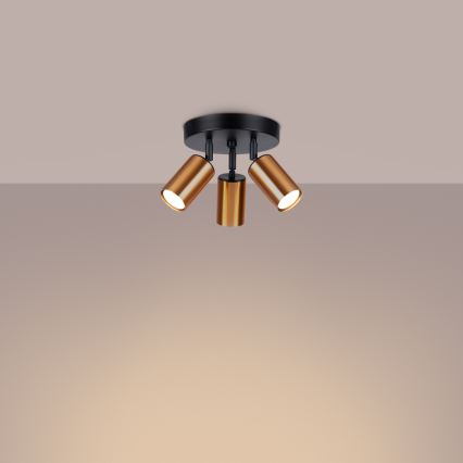 Φωτιστικό σποτ WINX 3xGU10/10W/230V μαύρο/χαλκός