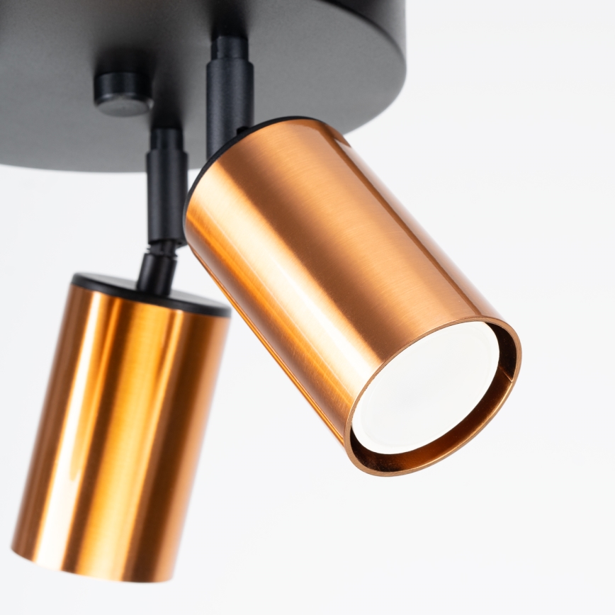 Φωτιστικό σποτ WINX 3xGU10/10W/230V μαύρο/χαλκός