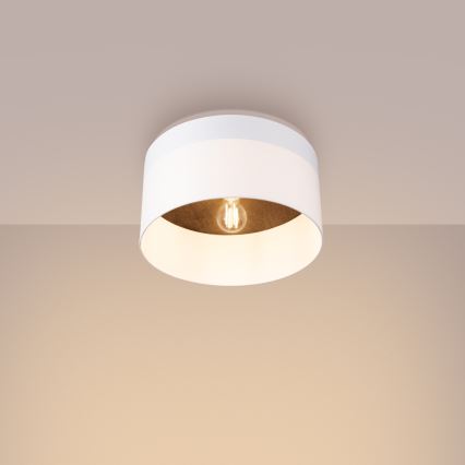 Φωτιστικό οροφής TELESTO 1xE27/15W/230V διάμετρος 35 cm λευκό/καφέ