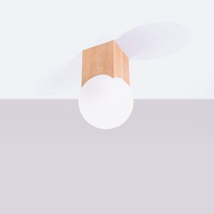 Φωτιστικό σποτ SOLIS 1xG9/8W/230V οξιά