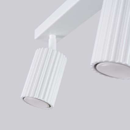 Φωτιστικό σποτ KARBON 2xGU10/10W/230V λευκό