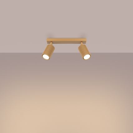 Φωτιστικό σποτ KARBON 2xGU10/10W/230V χρυσό