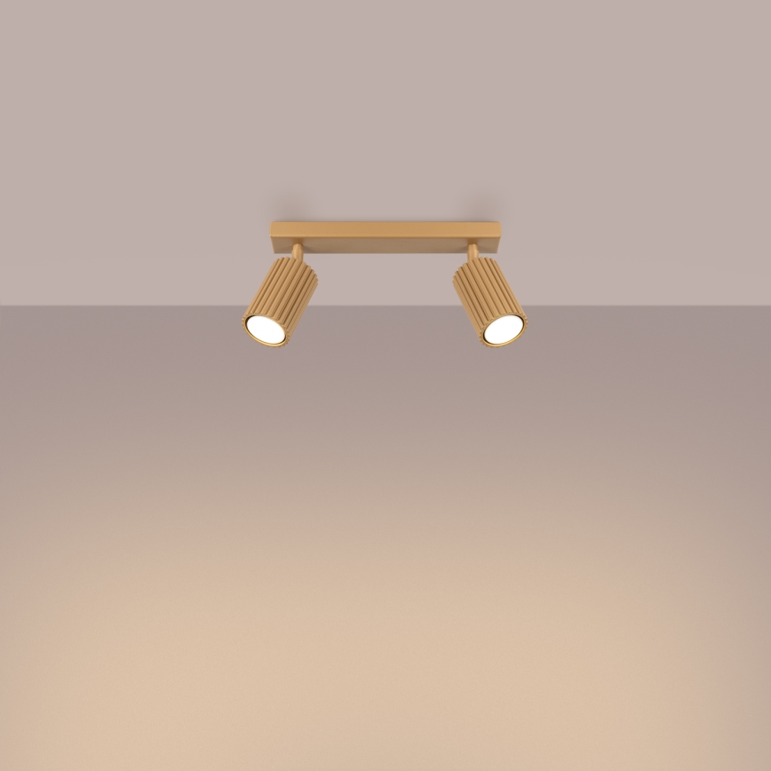 Φωτιστικό σποτ KARBON 2xGU10/10W/230V χρυσό