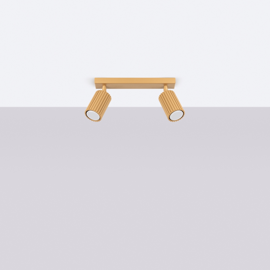 Φωτιστικό σποτ KARBON 2xGU10/10W/230V χρυσό