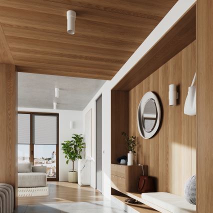 Φωτιστικό οροφής FLASH 1xE27/15W/230V λευκό