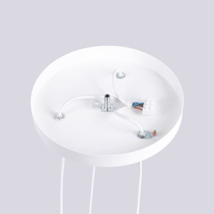 Κρεμαστό φωτιστικό οροφής HALO 3xG9/8W/230V διάμετρος 25 cm λευκό