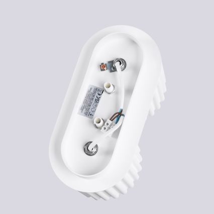 Φωτιστικό σποτ AURA 2xGU10/10W/230V λευκό