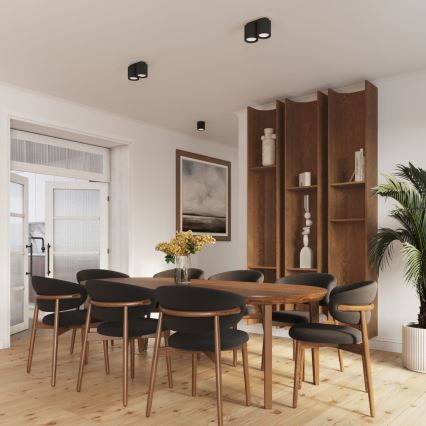 Φωτιστικό σποτ AURA 2xGU10/10W/230V μαύρο