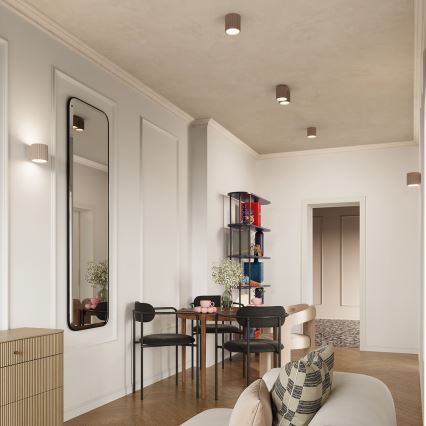 Φωτιστικό σποτ AURA 2xGU10/10W/230V ταουπ