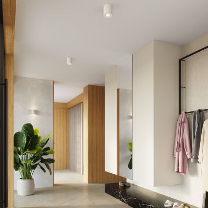 Σποτ φωτιστικό ORBIS 1xGU10/10W/230V μπετόν/κρεμ