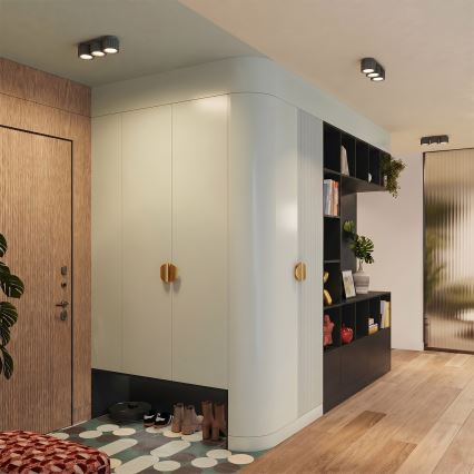 Φωτιστικό σποτ AURA 3xGX53/10W/230V μαύρο