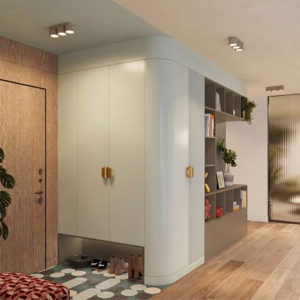 Φωτιστικό σποτ AURA 3xGX53/10W/230V τάουπ
