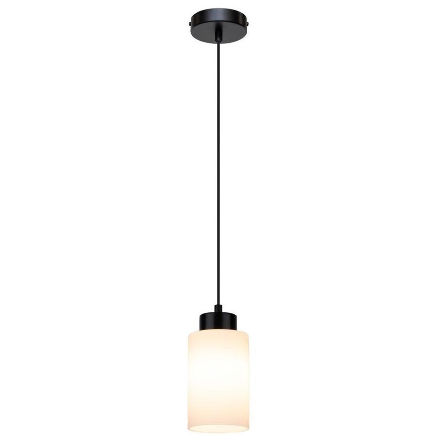 Πολύφωτο με συρματόσχοινο BOSCO 1xE27/60W/230V