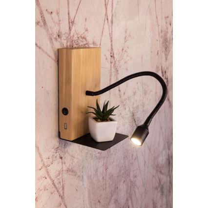 Φωτιστικό τοίχου LED LECTOR LED/2,5W/230V USB δρυς