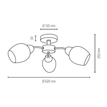 Επιτοίχιο φωτιστικό PARMA 3xE27/40W/230V δρυς