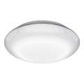 Steinel 035440 - Φως εξωτερικού χώρου LED με αισθητήρα QUATTRO LED/10W/230V IP54
