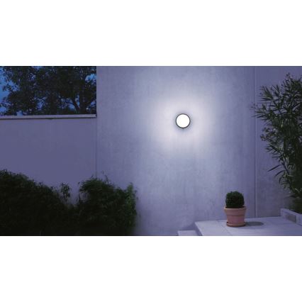 STEINEL 053079 - LED Φωτιστικό τοίχου εξωτερικού χώρου με αισθητήρα L330 LED/9W/230V 3000K IP44