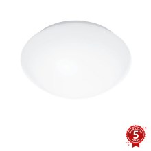 Steinel 056049 - Φως οροφής LED RS PRO LED/13,5W/230V IP54