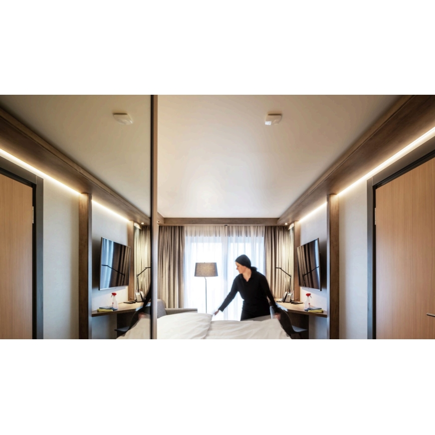 STEINEL 056339  - Αισθητήρας κίνησης  TRUE PRESENCE KNX