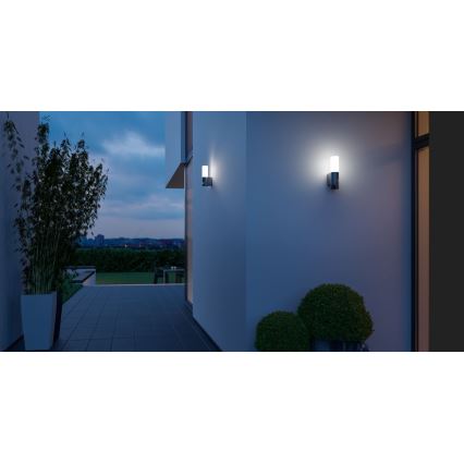 Steinel 065287 - Φως εξωτερικού χώρου LED με αισθητήρα L 605 LED/9,5W/230V IP44 ανθρακίτης