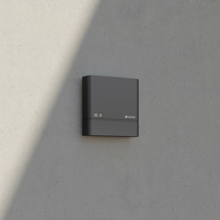 Steinel 066116 - Αισθητήρας σούρουπου NIGHTMATIQ Plus IP54 ανθρακί