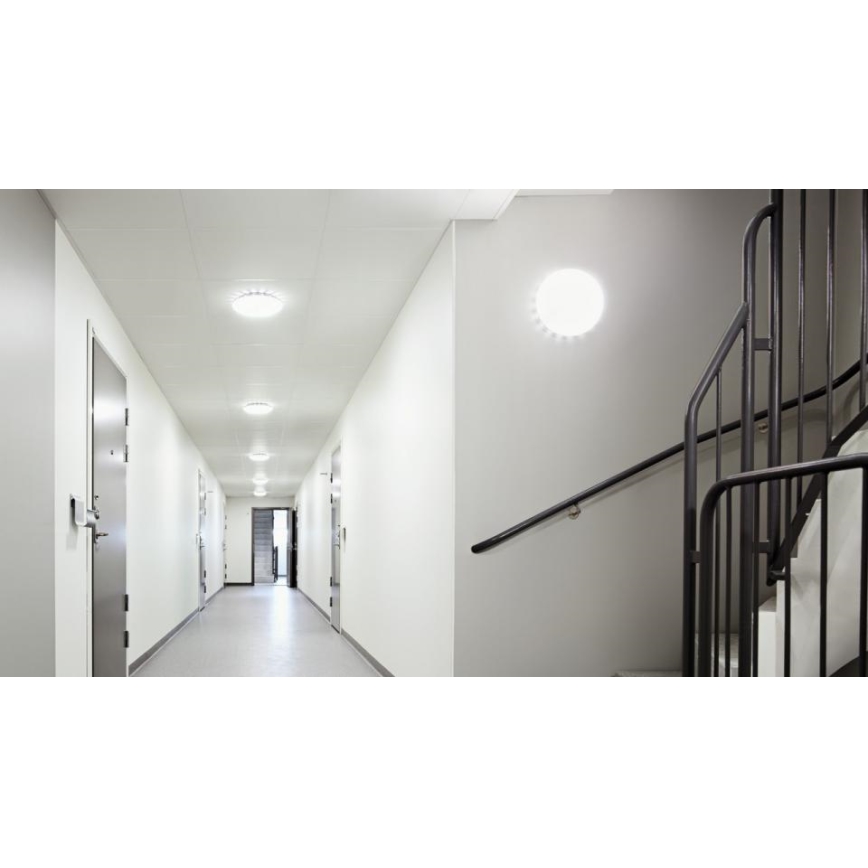 Steinel 068059 - Φωτιστικό οροφής LED με αισθητήρα RS PRO S30 SC 25,8W/230V 3000K