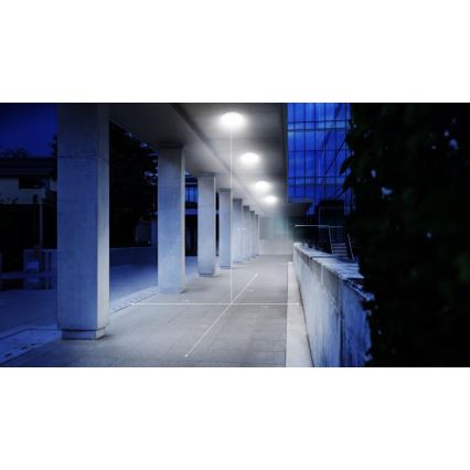 Steinel 068202 - Φωτιστικό οροφής μπάνιου LED με αισθητήρα DL Vario Quattro PRO S LED/14W/230V 3000K IP54